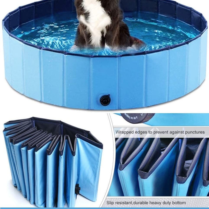 Piscina Para Mascotas