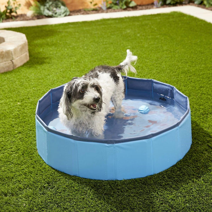 Piscina Para Mascotas